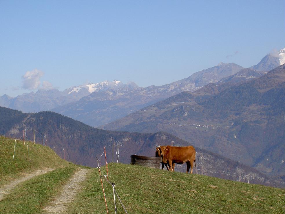 En fond, le Mont Blanc